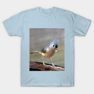 Sweet little bird on a log T-Shirt